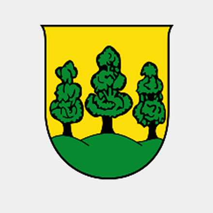 Wappen Stadtgemeinde Saalfelden